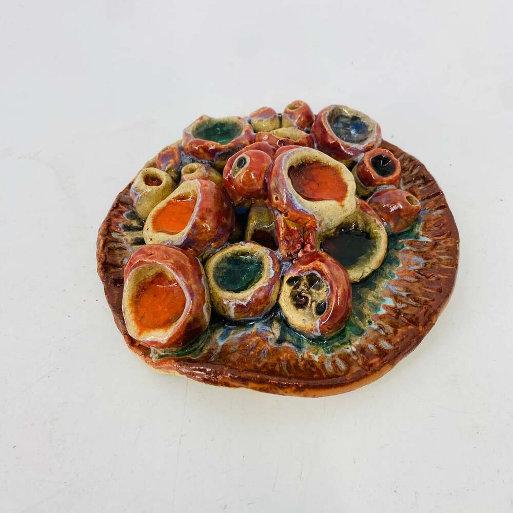Signed BC Handcrafted Ceramic Coral Reef Barnacle Studio Pottery Sculptural Dish